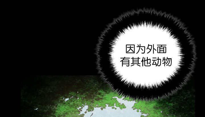 第78章：傲娇小熊猫