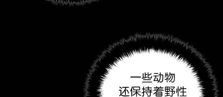 第78章：傲娇小熊猫