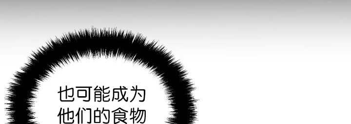 第78章：傲娇小熊猫