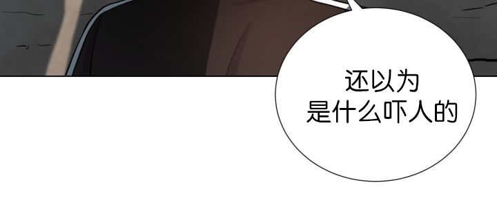 第79章：有人关心