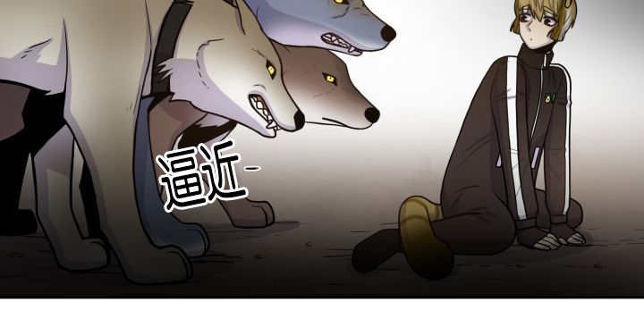第79章：有人关心