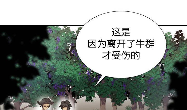 第79章：有人关心