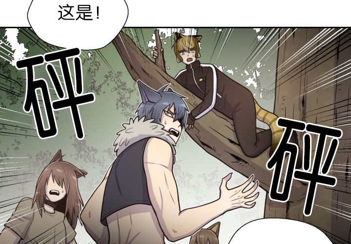 第80章：现在不会