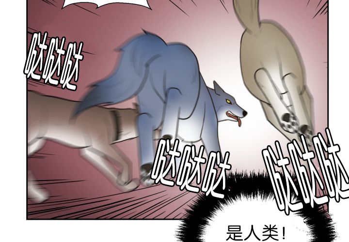 第80章：现在不会