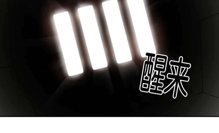 第81章：要去哪里