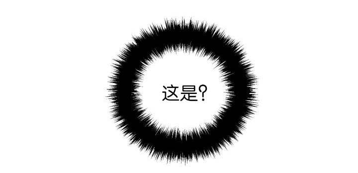 第81章：要去哪里