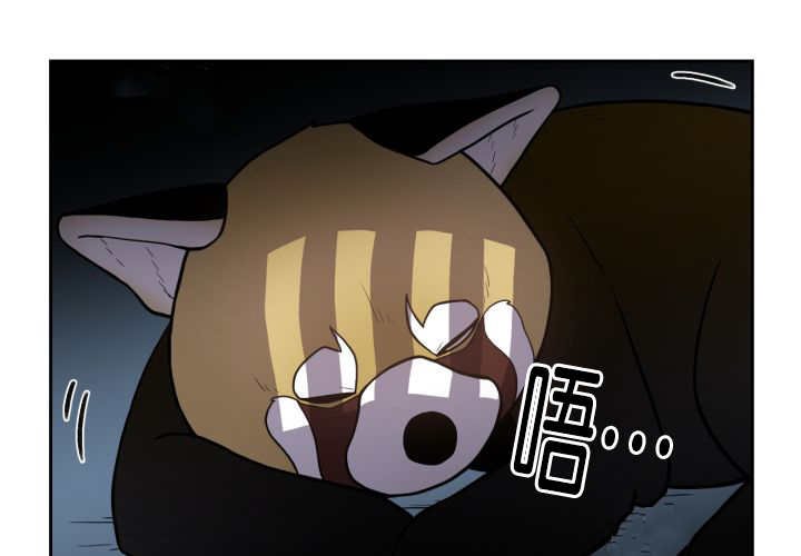 第81章：要去哪里