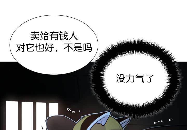 第81章：要去哪里