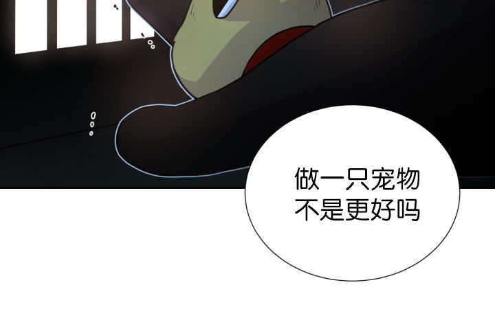 第81章：要去哪里