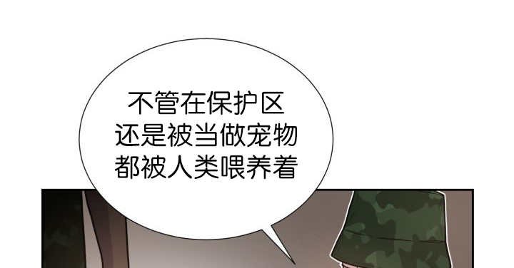 第81章：要去哪里