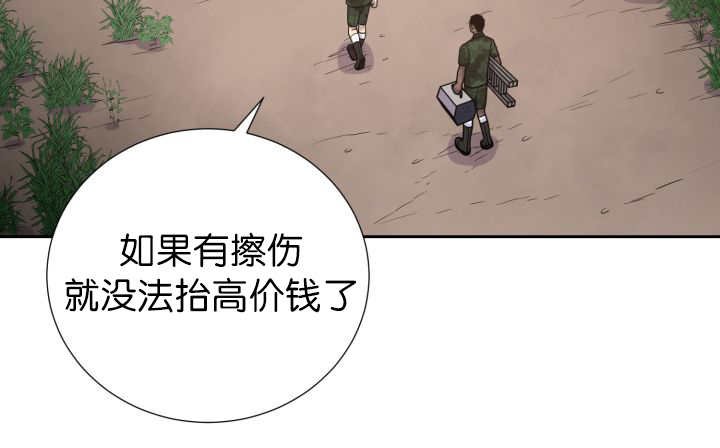 第81章：要去哪里
