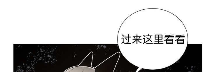 第81章：要去哪里