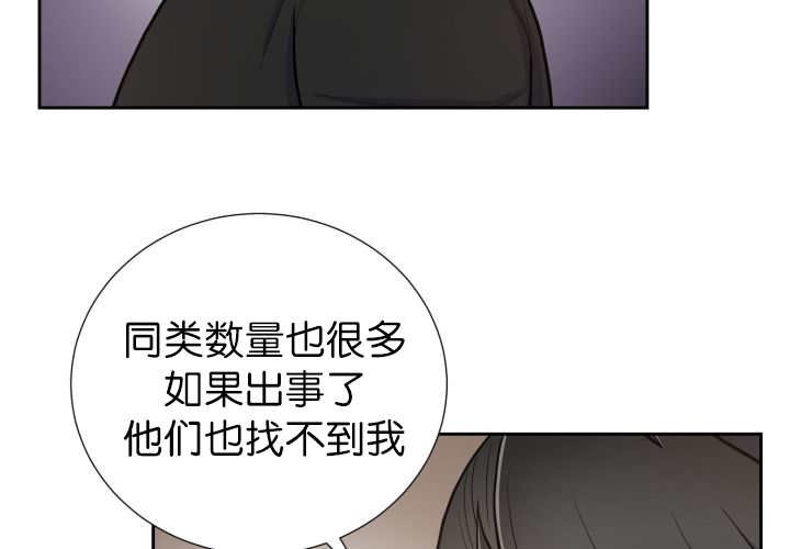 第82章：为了找你
