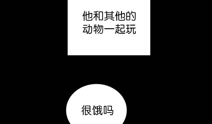 第83章：只看着我