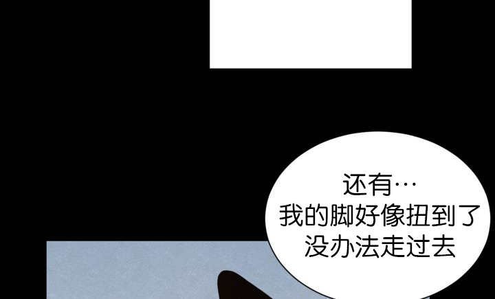 第83章：只看着我