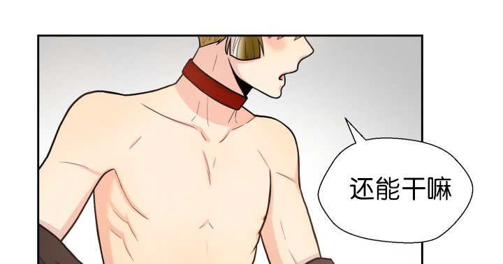 第84章：不许躲我