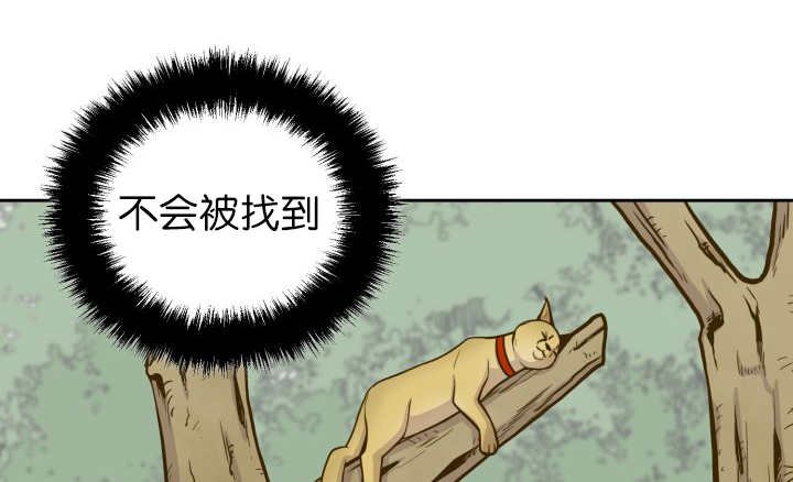 第85章：悄声无息