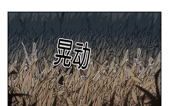 第85章：悄声无息