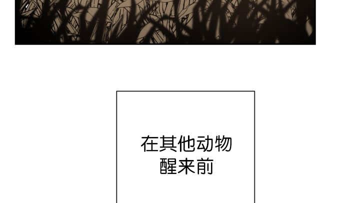 第85章：悄声无息