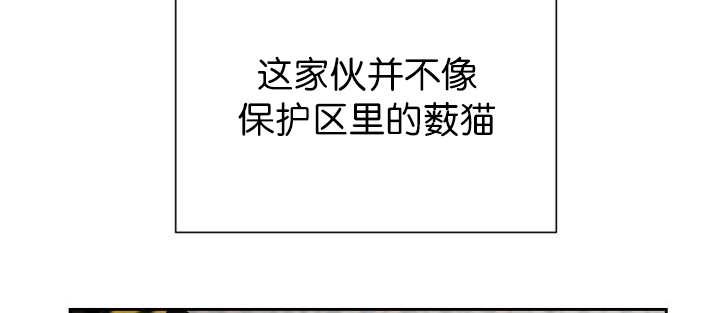 第85章：悄声无息
