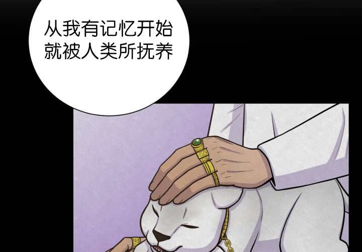 第87章：向往外界