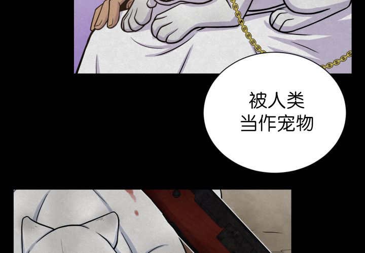 第87章：向往外界