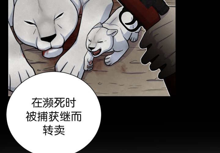 第87章：向往外界