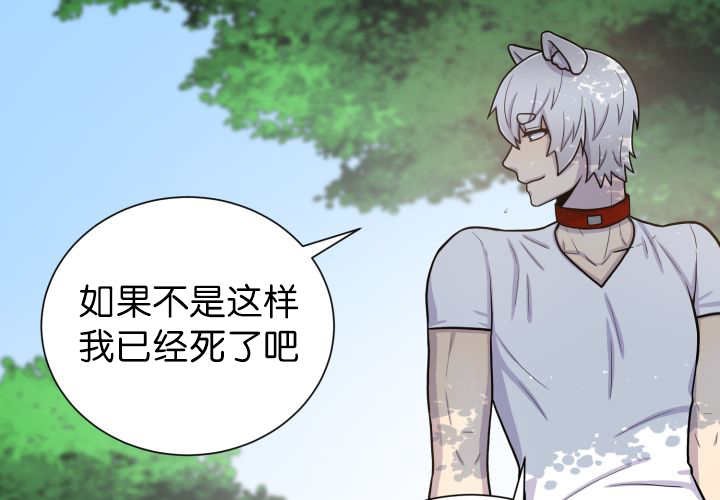 第87章：向往外界
