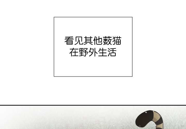 第87章：向往外界
