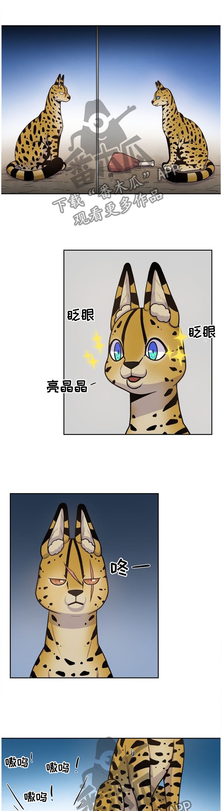 第88章：穿过