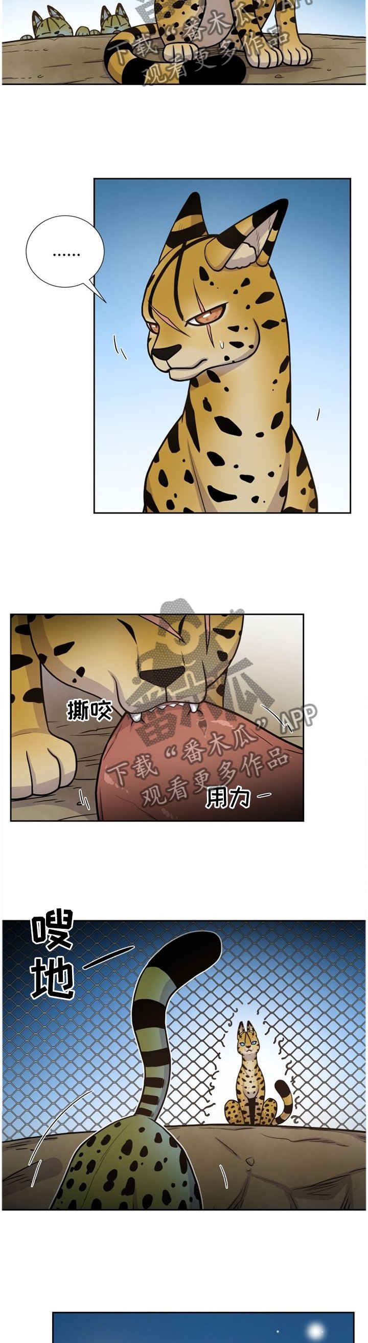第88章：穿过