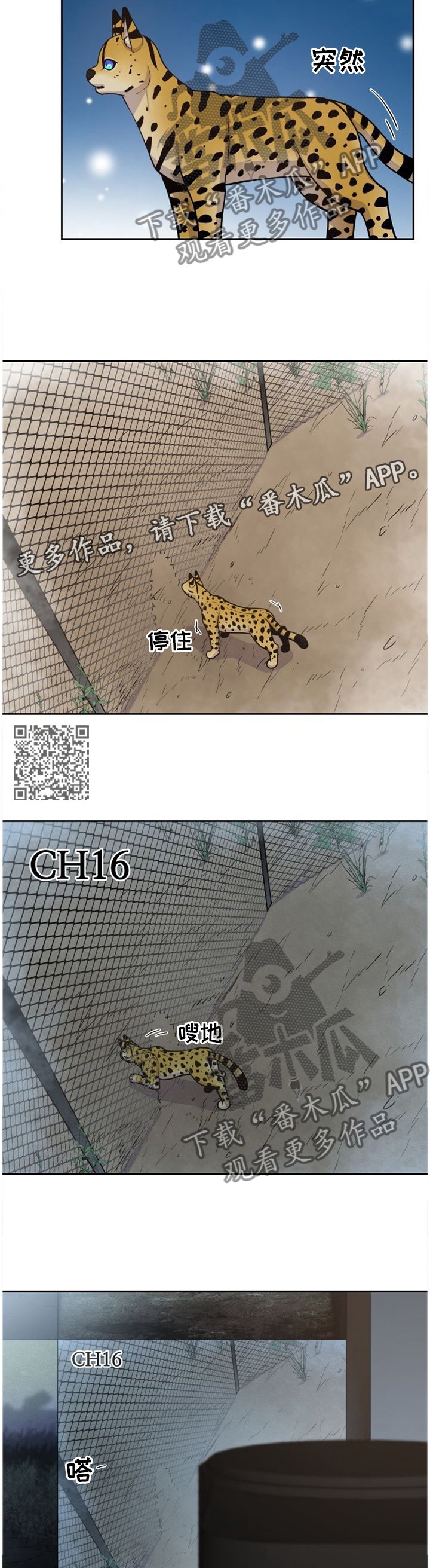 第88章：穿过