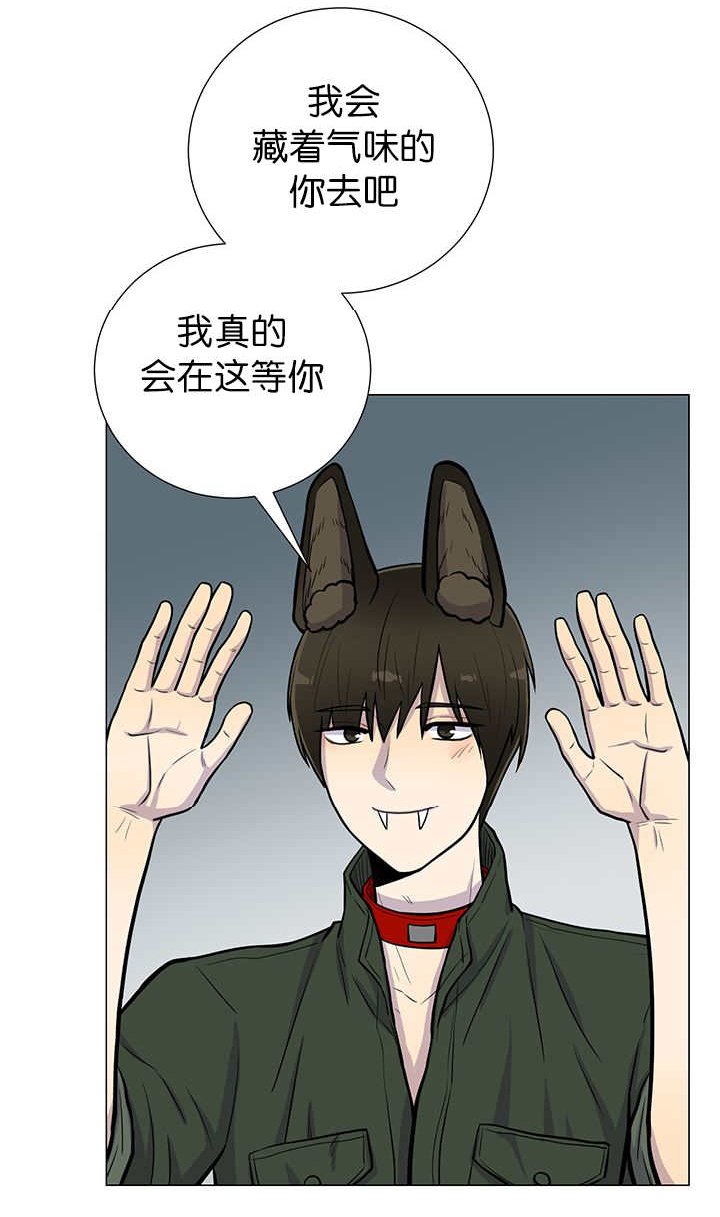 第9章：等你回来