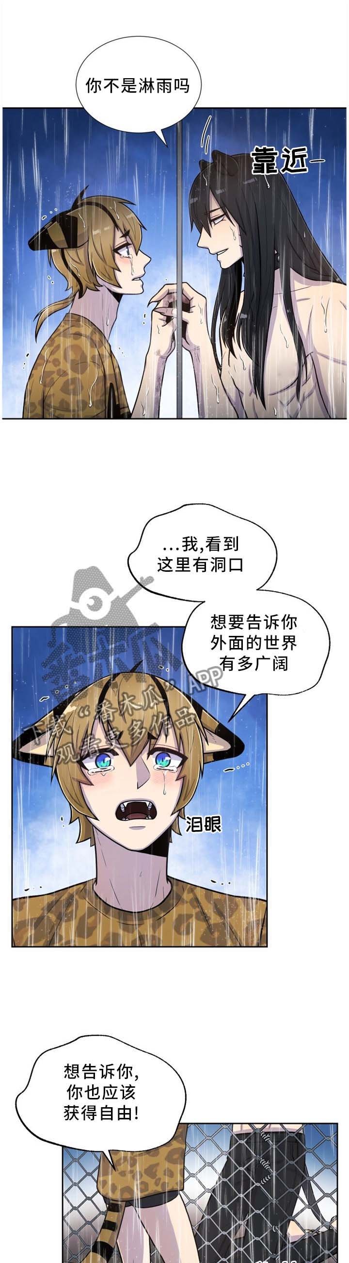 第91章：一直在一起