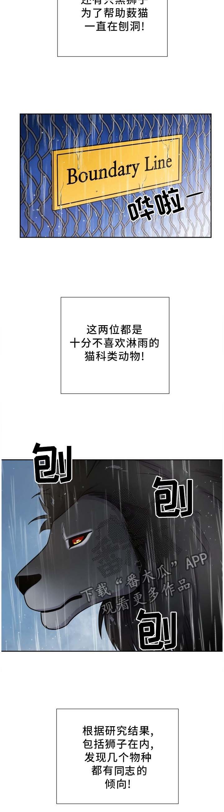第91章：一直在一起