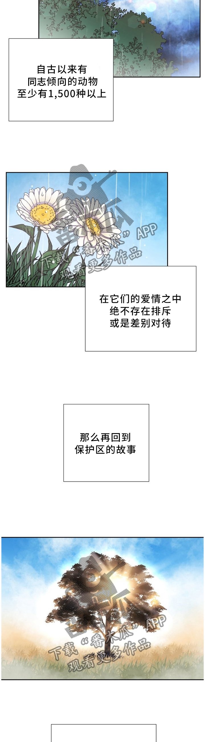 第91章：一直在一起