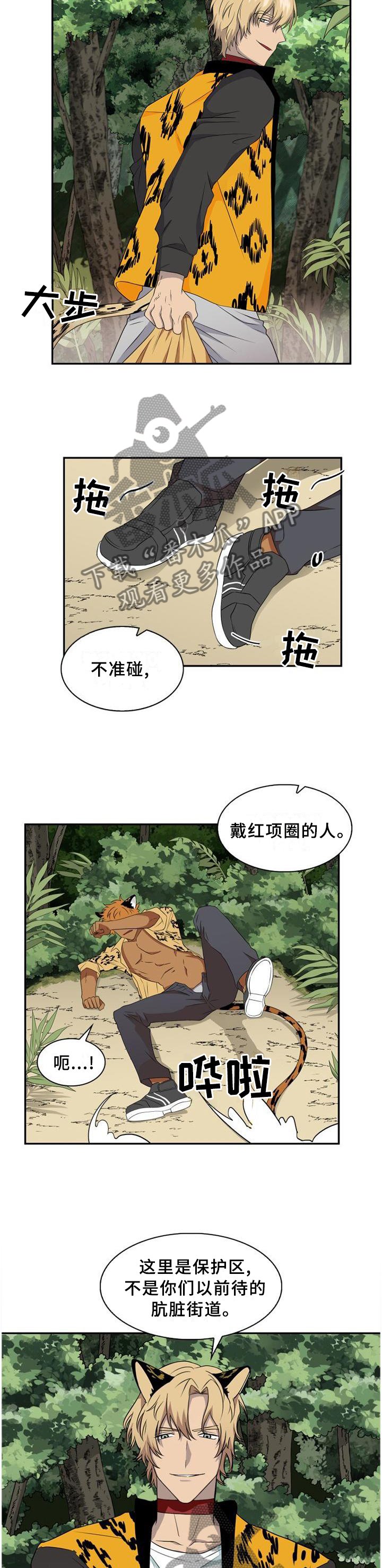 第95章：【第二季】我们是什么?
