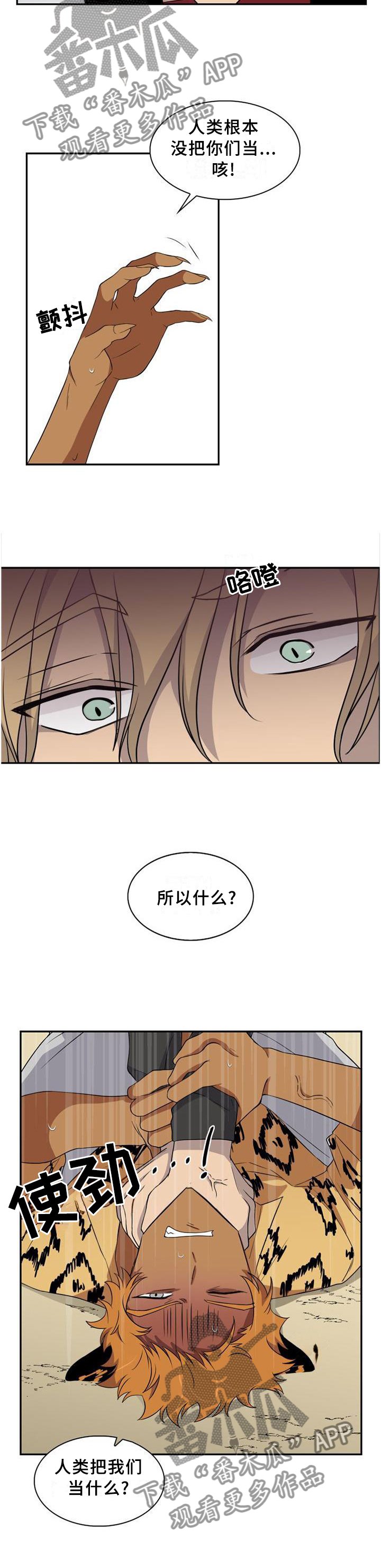 第95章：【第二季】我们是什么?