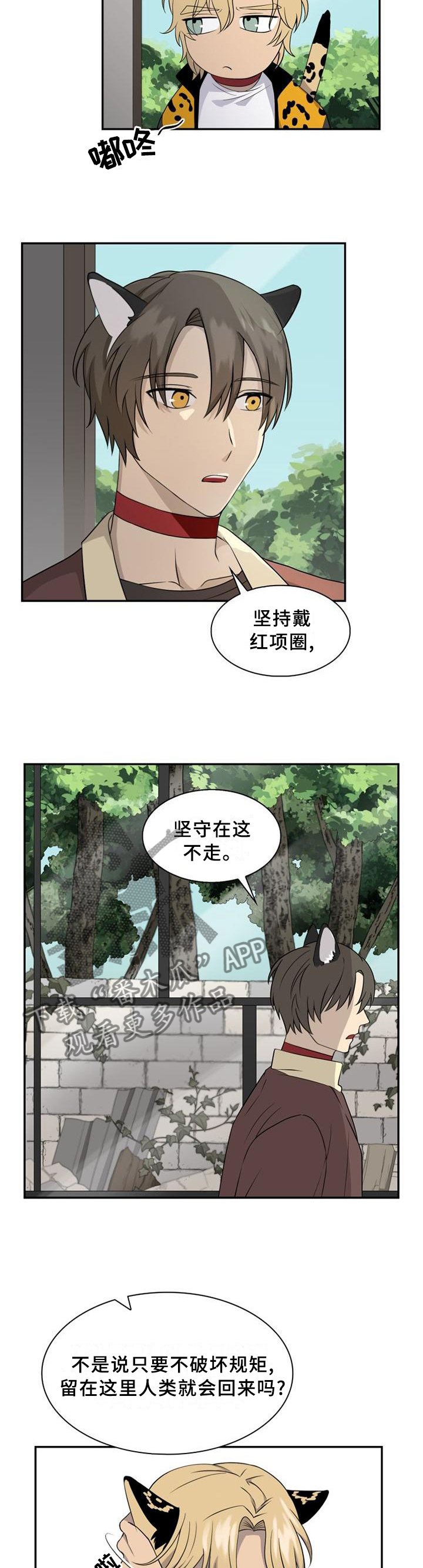 第96章：【第二季】枪声