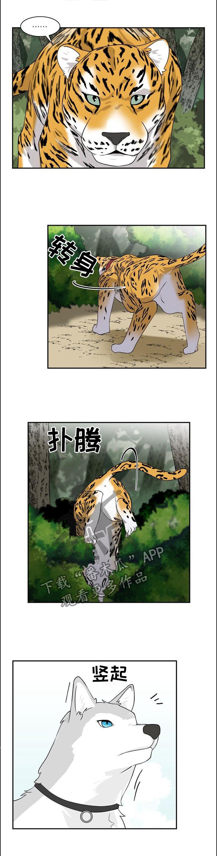 第98章：【第二季】追逐