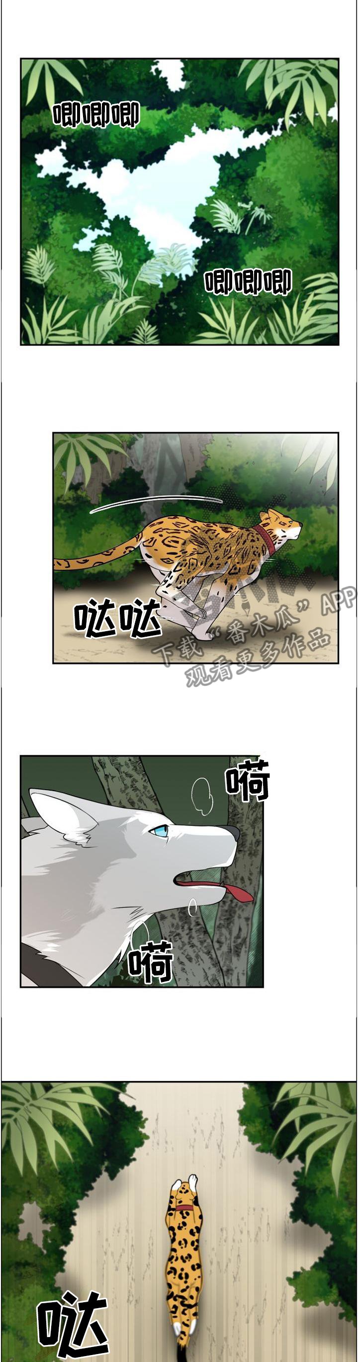 第98章：【第二季】追逐