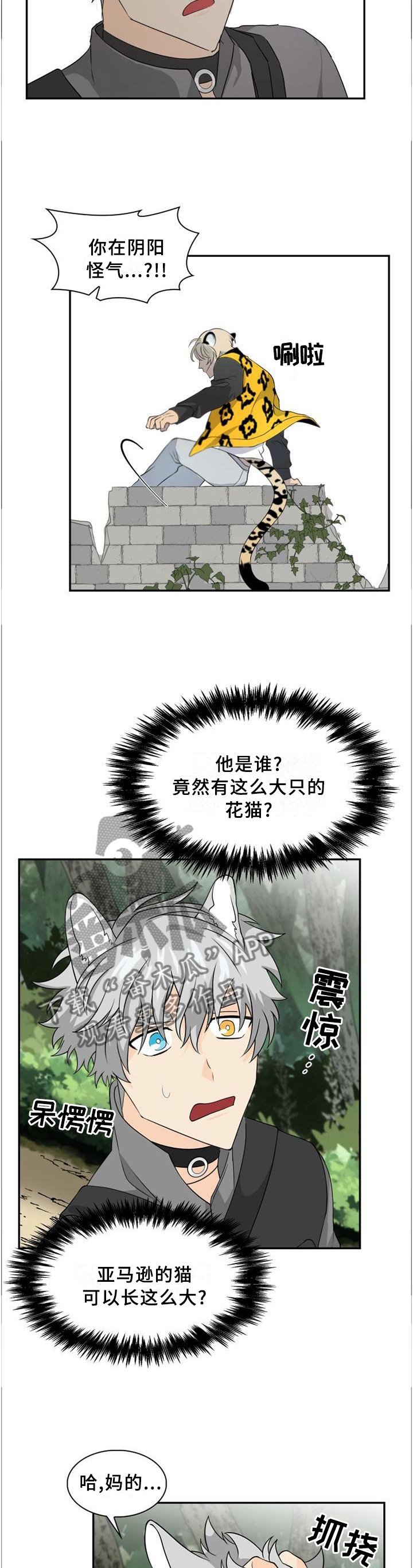 第98章：【第二季】追逐