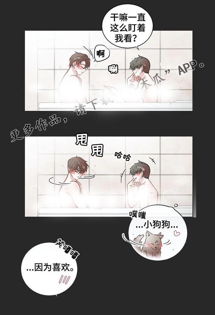第117章：因为喜欢