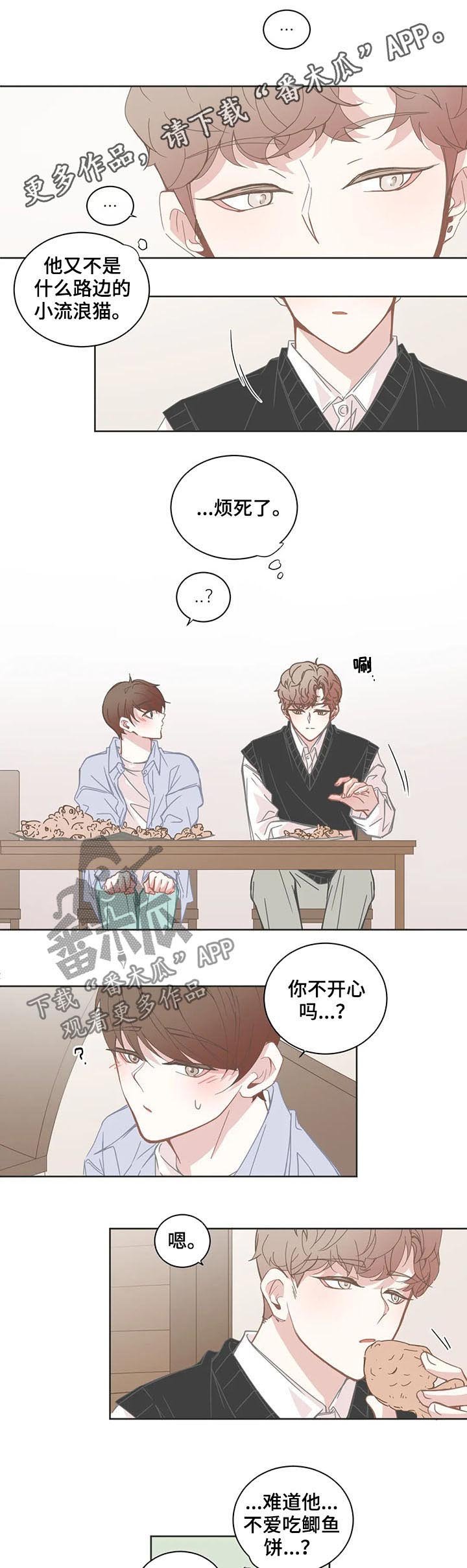 第129章：小流浪猫