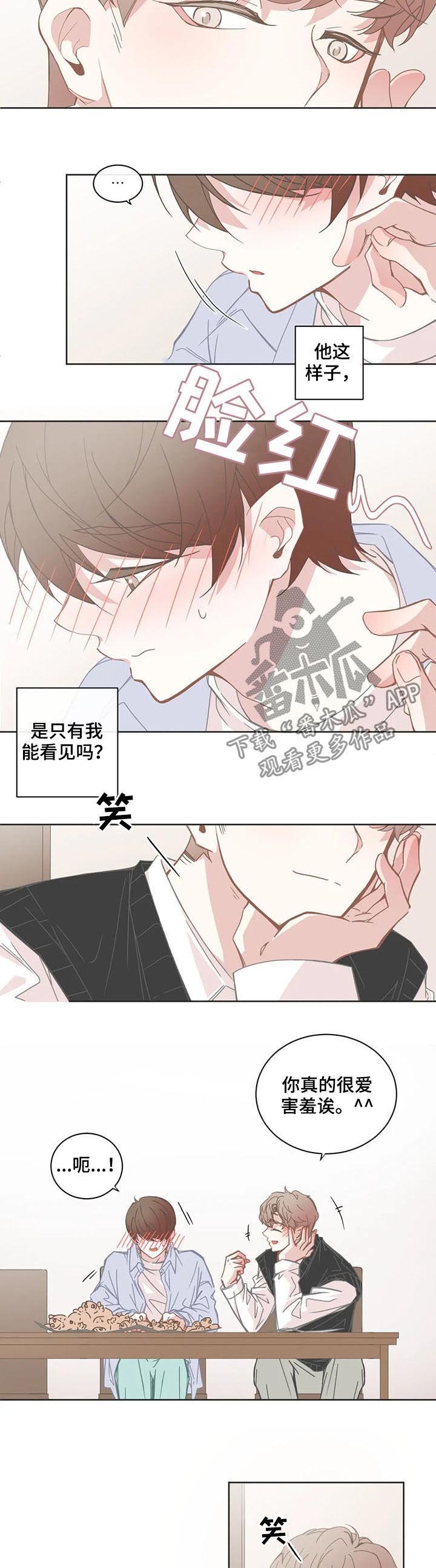 第129章：小流浪猫