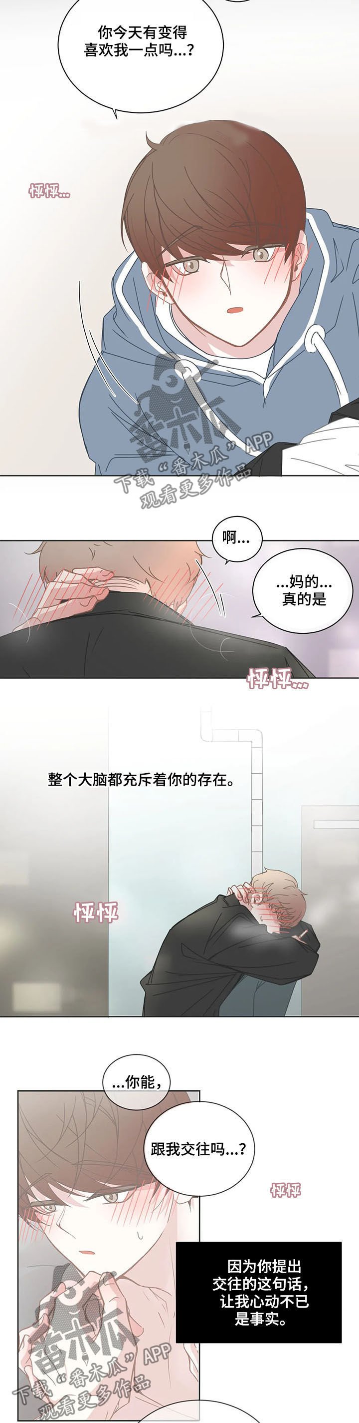 第146章：我们交往吧