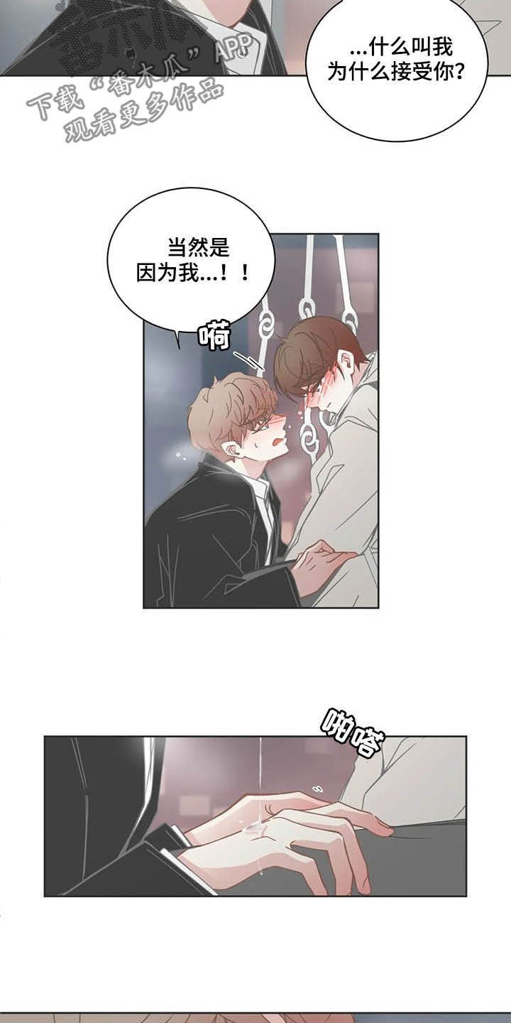 第164章：重新考虑