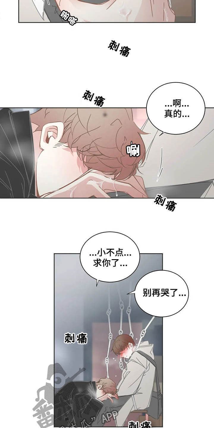 第164章：重新考虑