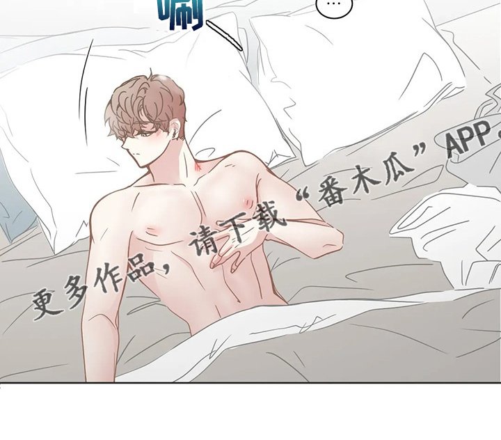 第223章：你去哪了