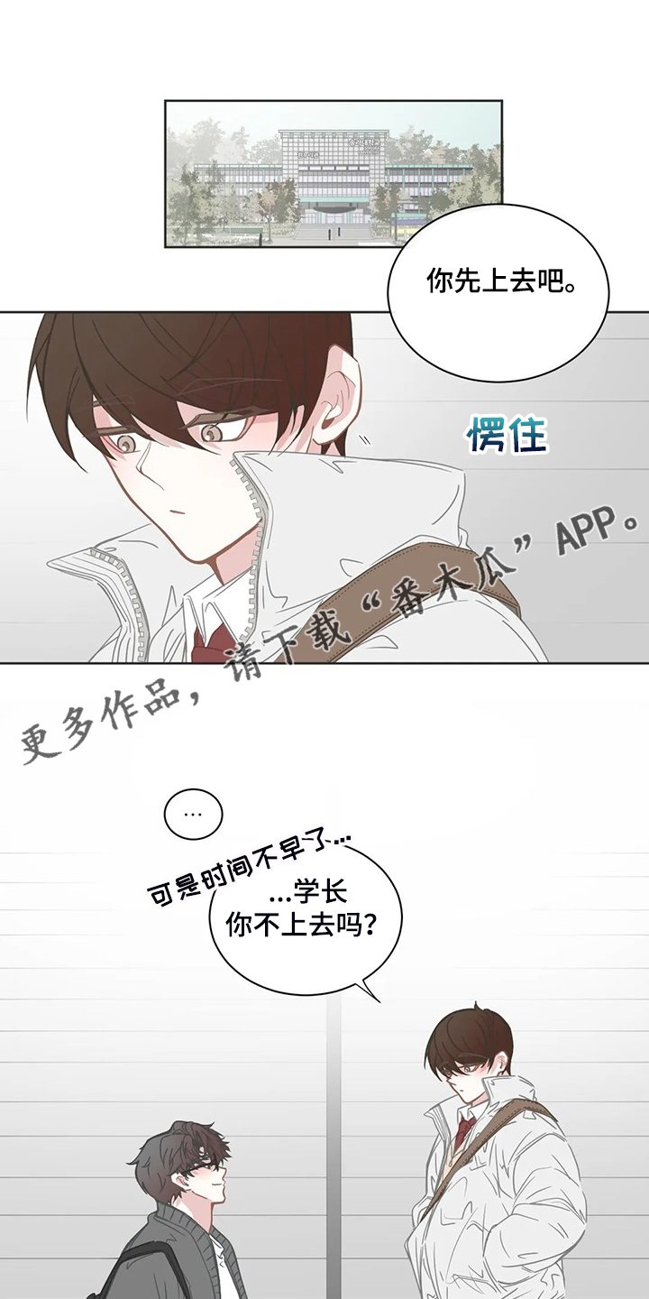 第231章：同一个牌子